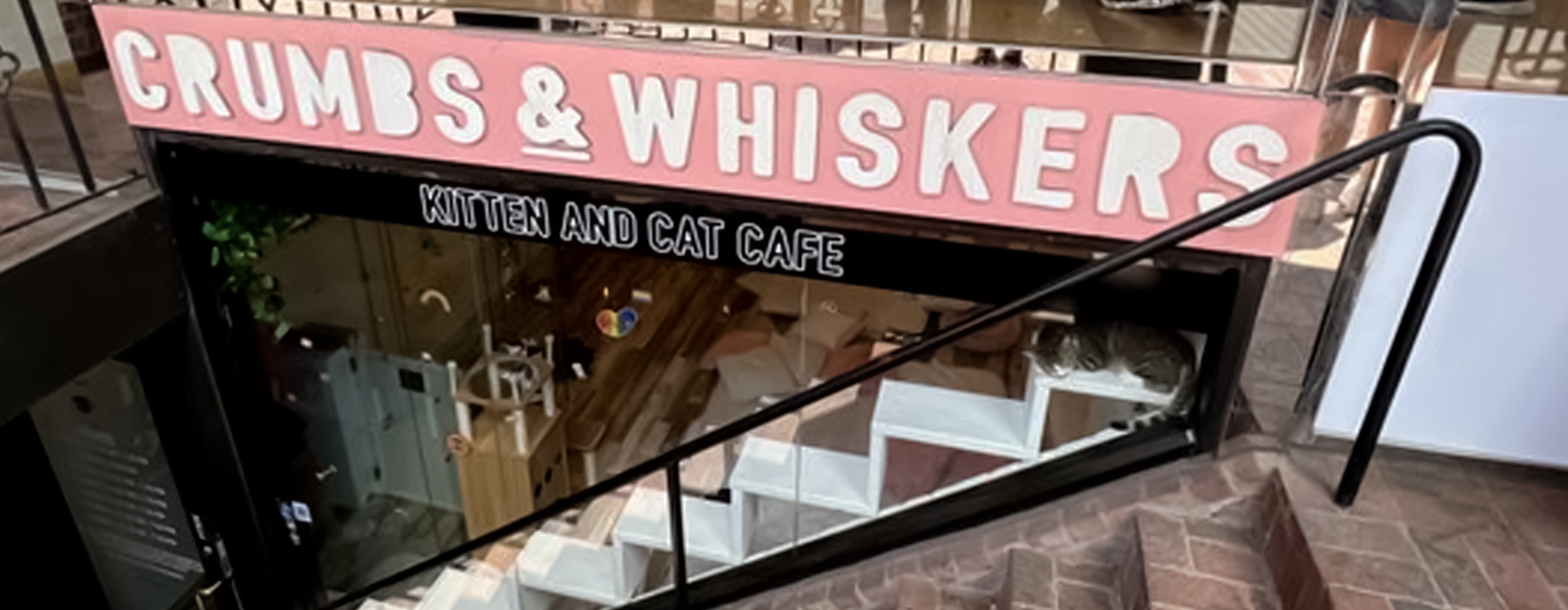 Crumbs & Whiskers