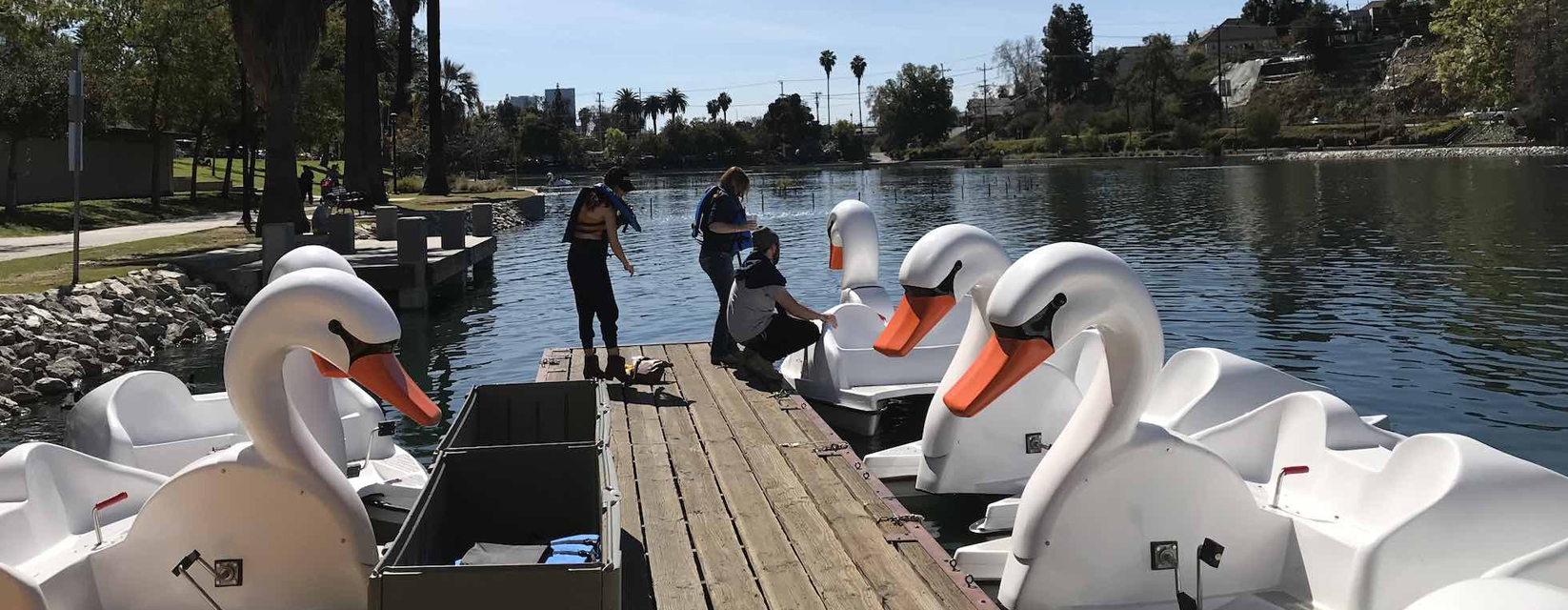 Echo Park Pedal Boats
